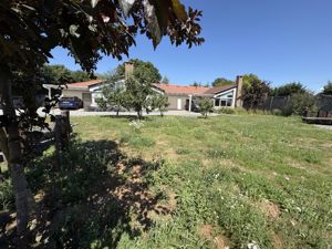 Photo 21- click for photo gallery